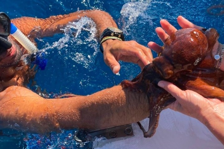 a man swimming in the water