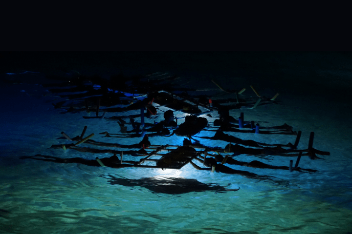 a group of people swimming in a body of water