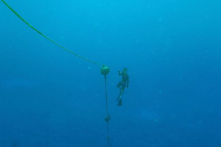 a fish located in a body of water