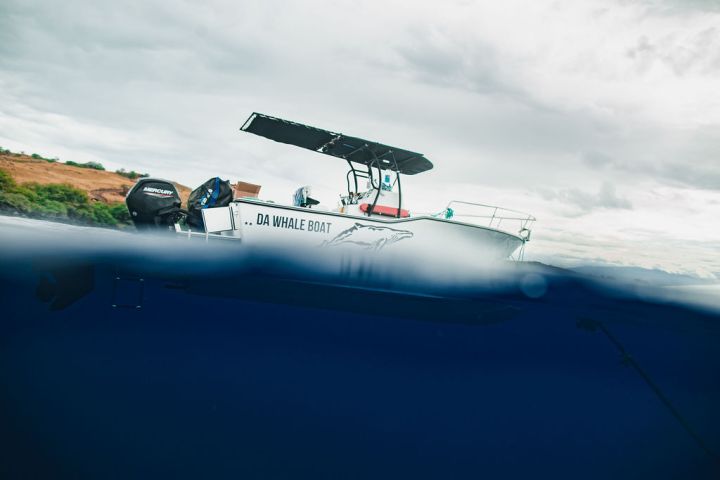 a airplane that is flying in the sky