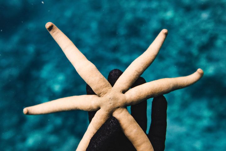 a woman wearing a costume