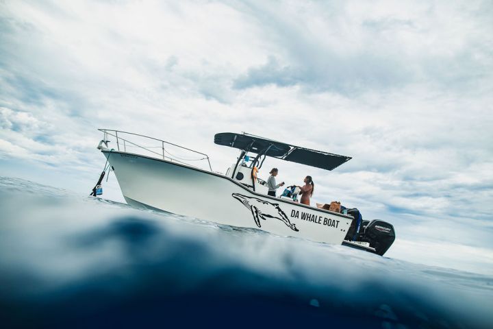 a close up of a boat