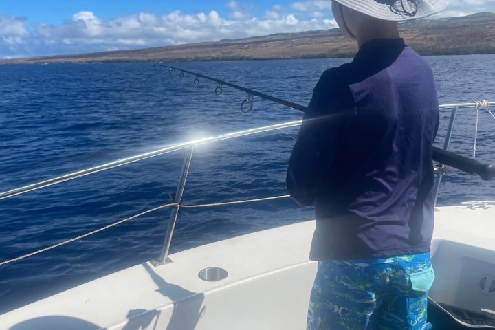 a person standing next to a body of water