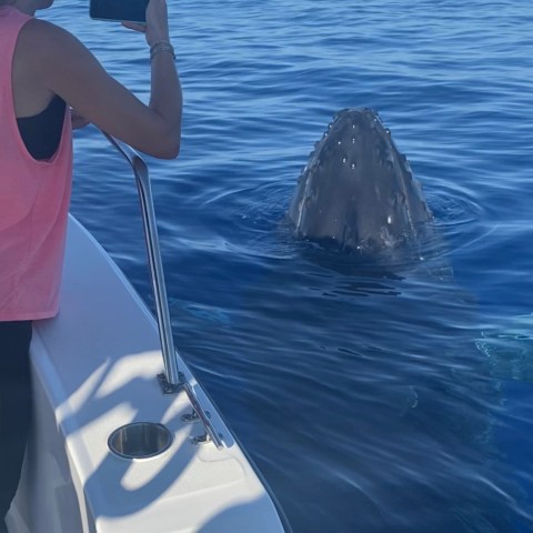 a person standing next to a body of water